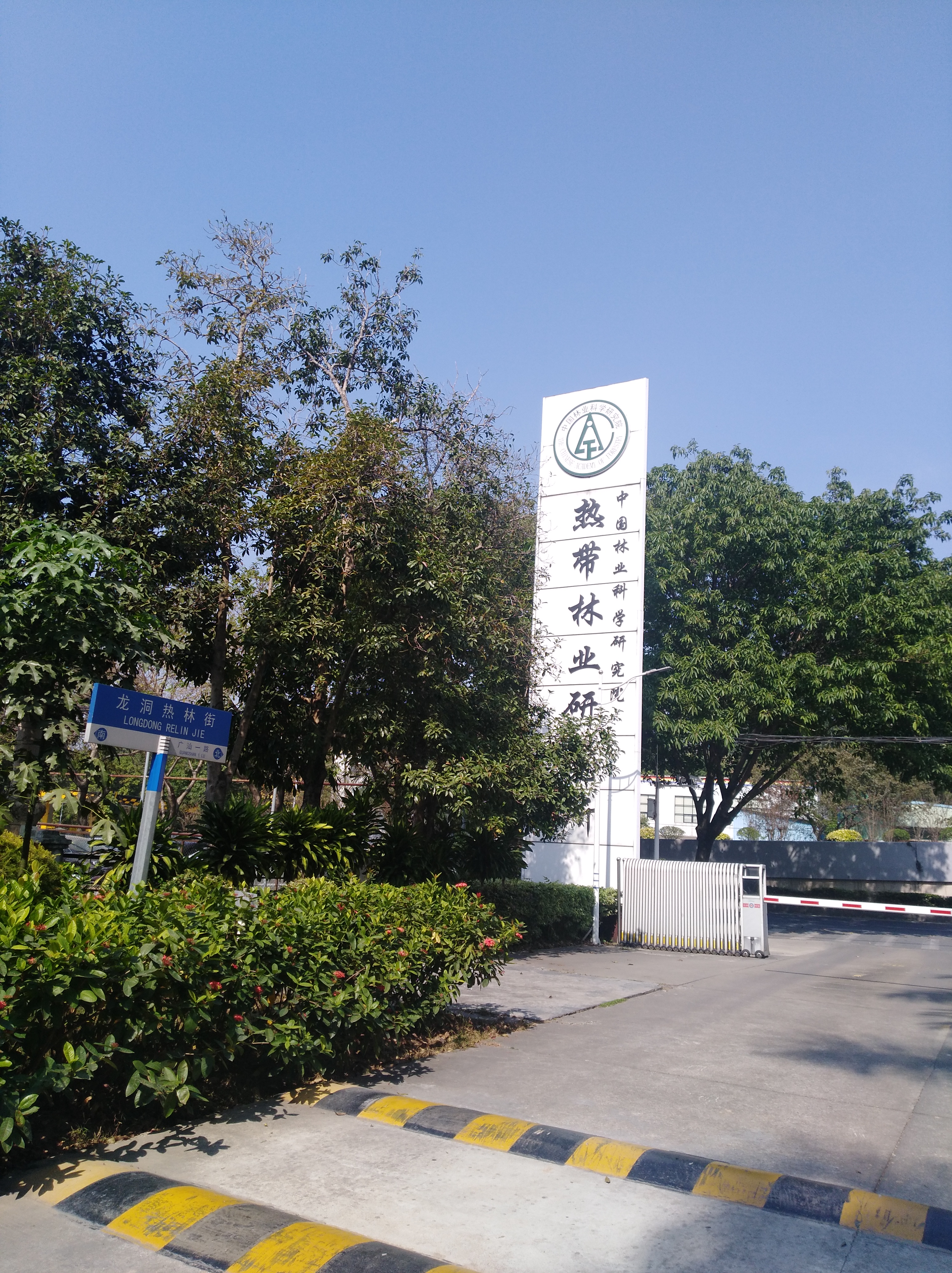 0-中國(guó)林業(yè)科學(xué)研究院熱帶林業(yè)研究所.jpg